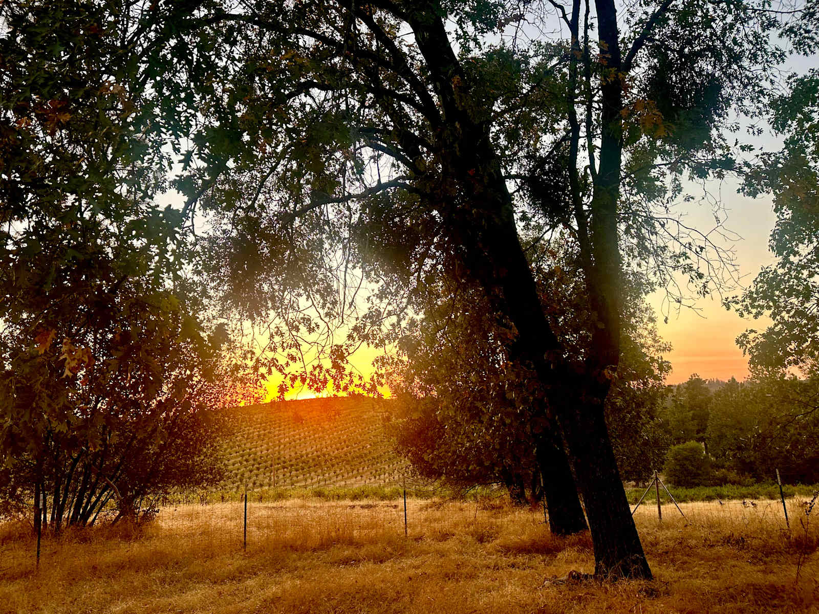 Barrel & Breeze - glamping.directory