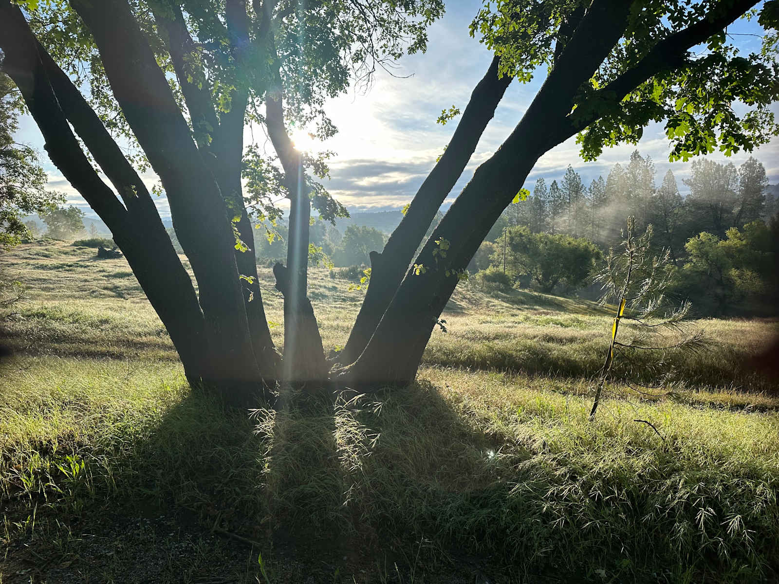 Barrel & Breeze - Somerset, California - glamping.directory