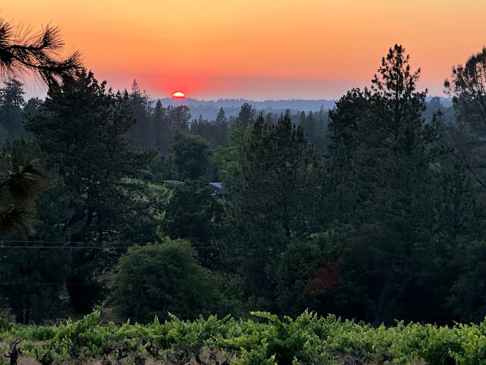 Barrel & Breeze - Somerset, California - glamping.directory