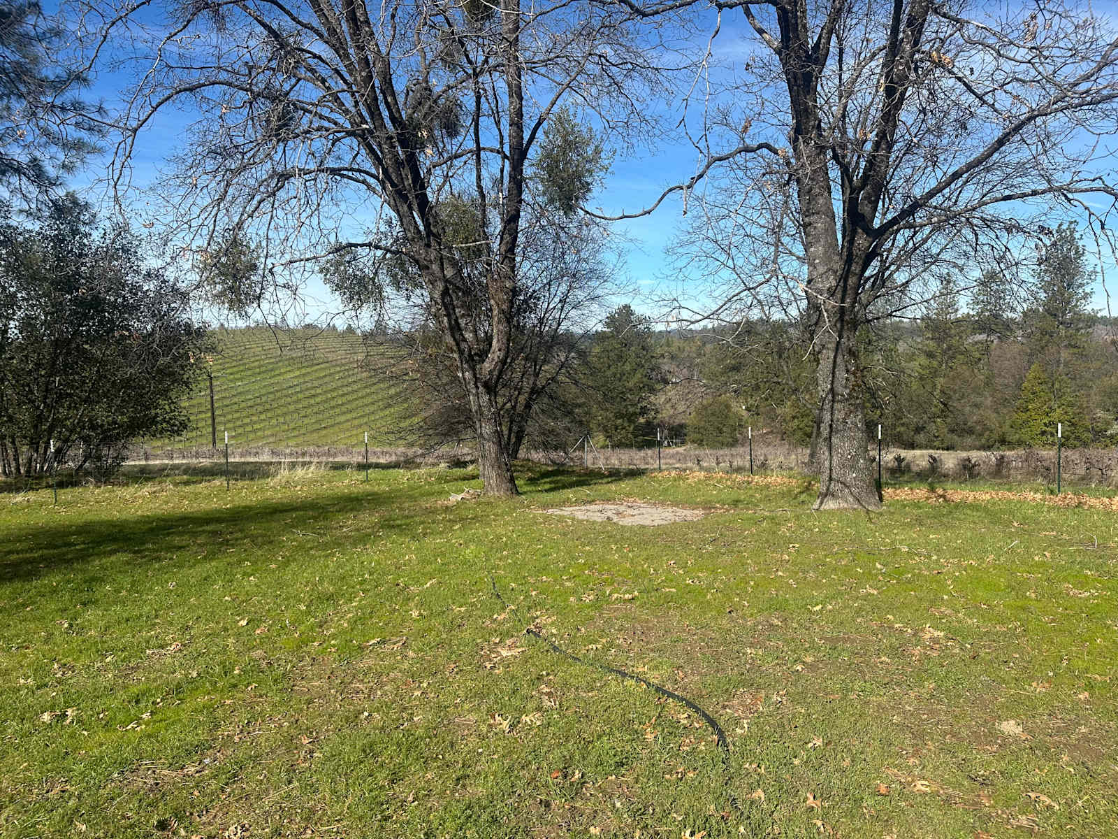 Barrel & Breeze - Somerset, California - glamping.directory