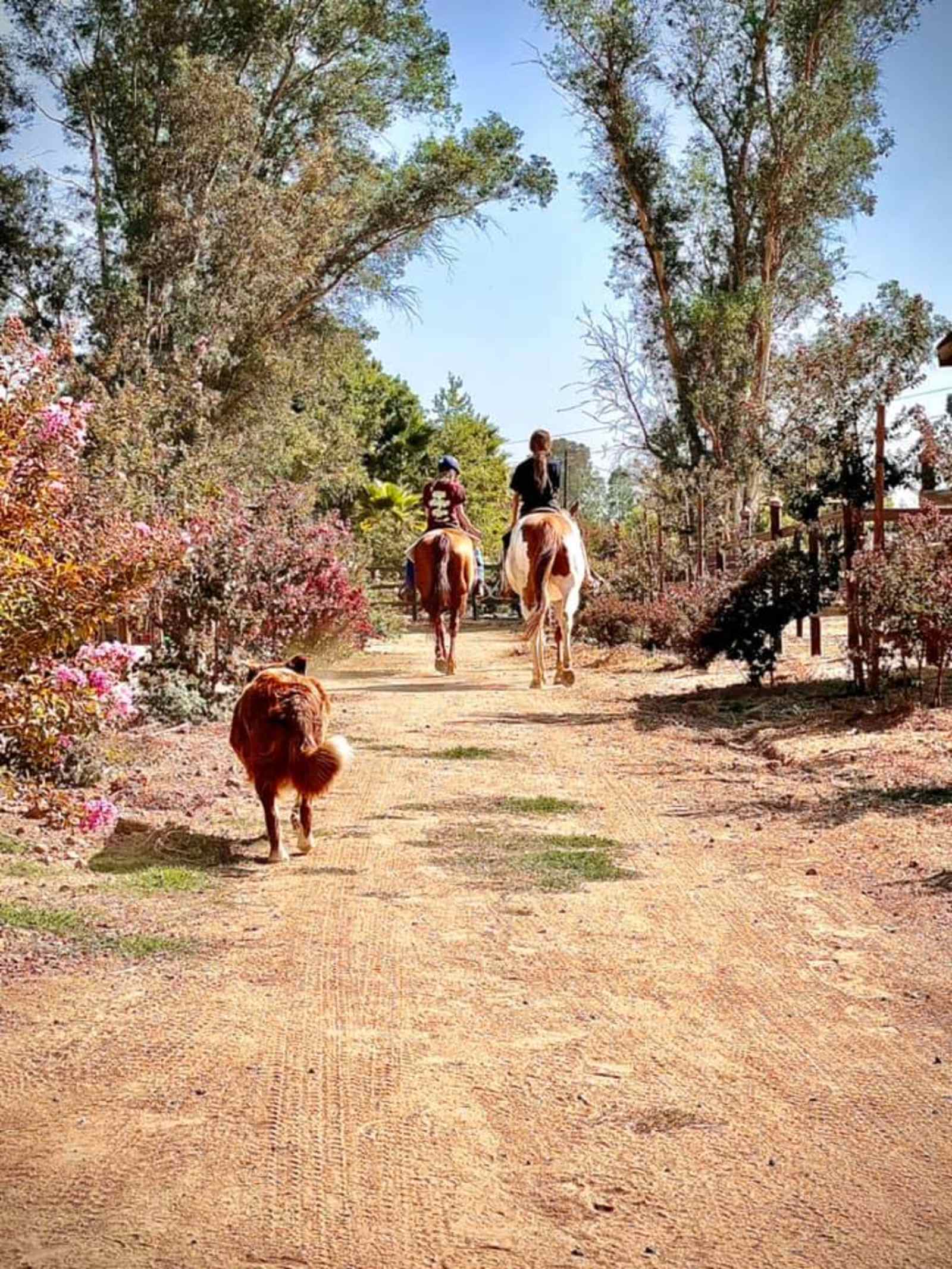 Ria's Ranch, 5th Wheel - Rio Linda, California - glamping.directory