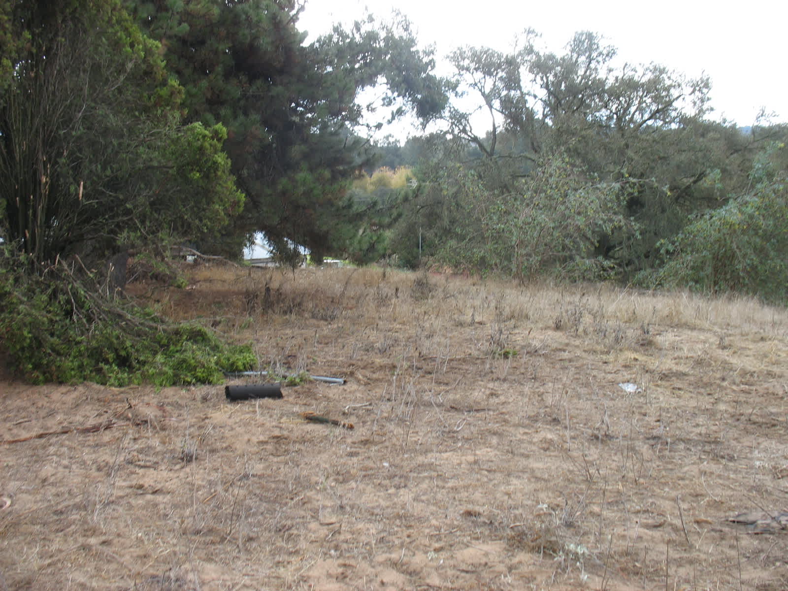 Rancho San Marino - Orcutt, California - glamping.directory