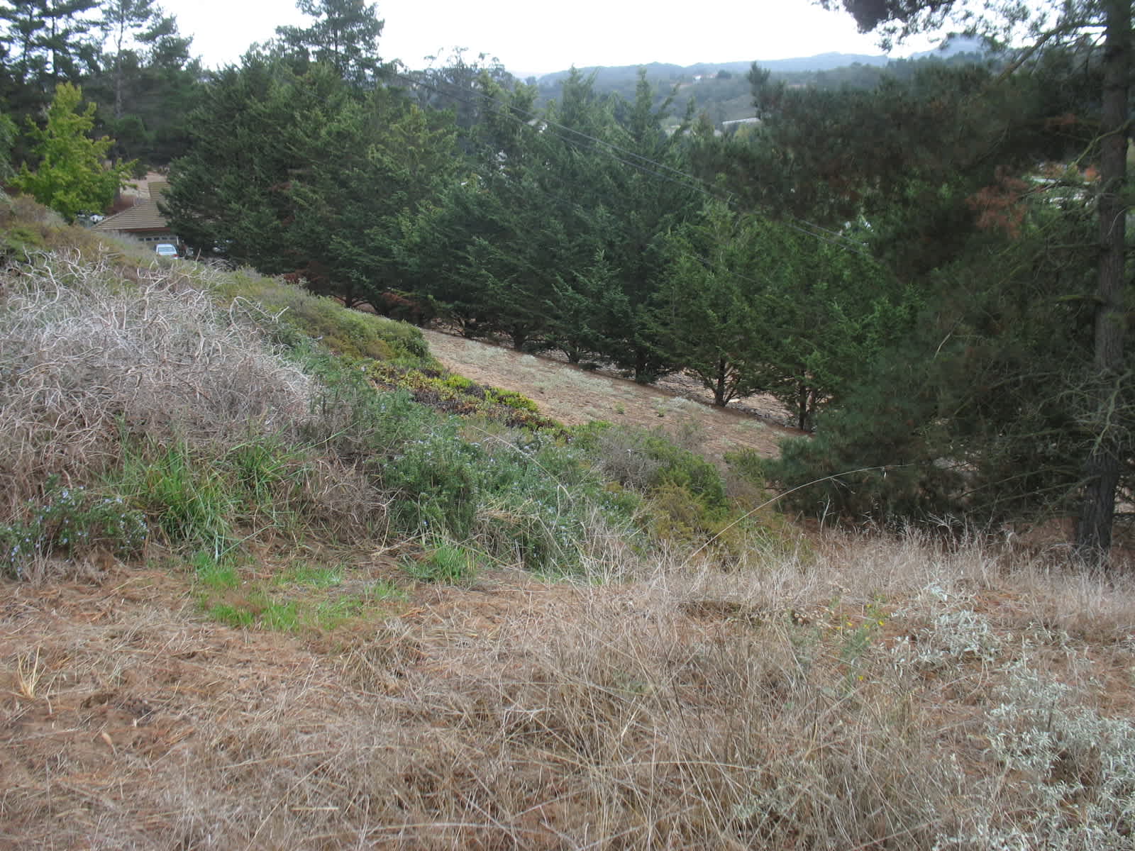 Rancho San Marino - Orcutt, California - glamping.directory