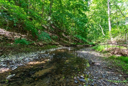 Spacious Chalet-Cabin with Hot Tub, Huge Deck, Fire Pit All Just a 15 Minute Walk to Sleepy Creek in Berkeley Springs, WV - Berkeley Springs , West Virginia - glamping.directory