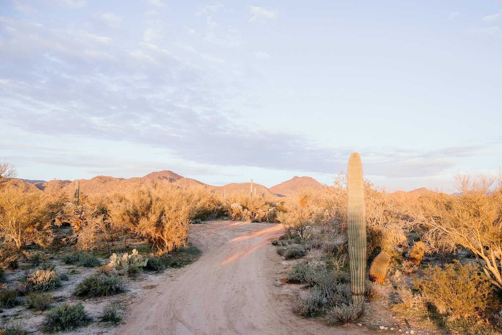 Wild Burro Desert Retreat - glamping.directory