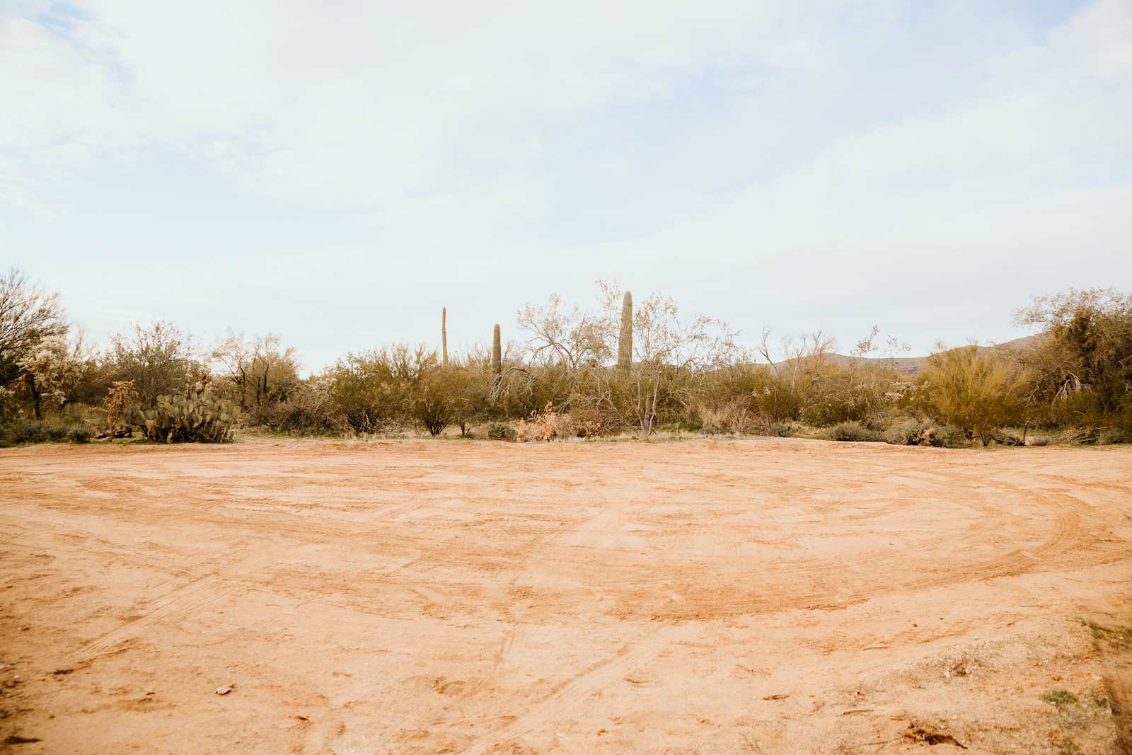 Wild Burro Desert Retreat - Marana, Arizona - glamping.directory
