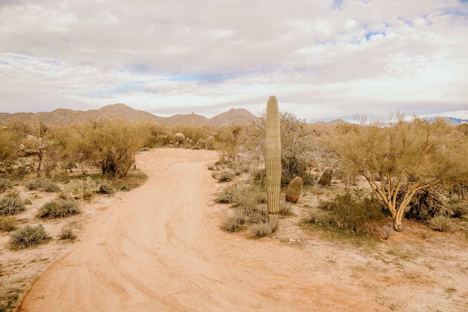 Wild Burro Desert Retreat - Marana, Arizona - glamping.directory