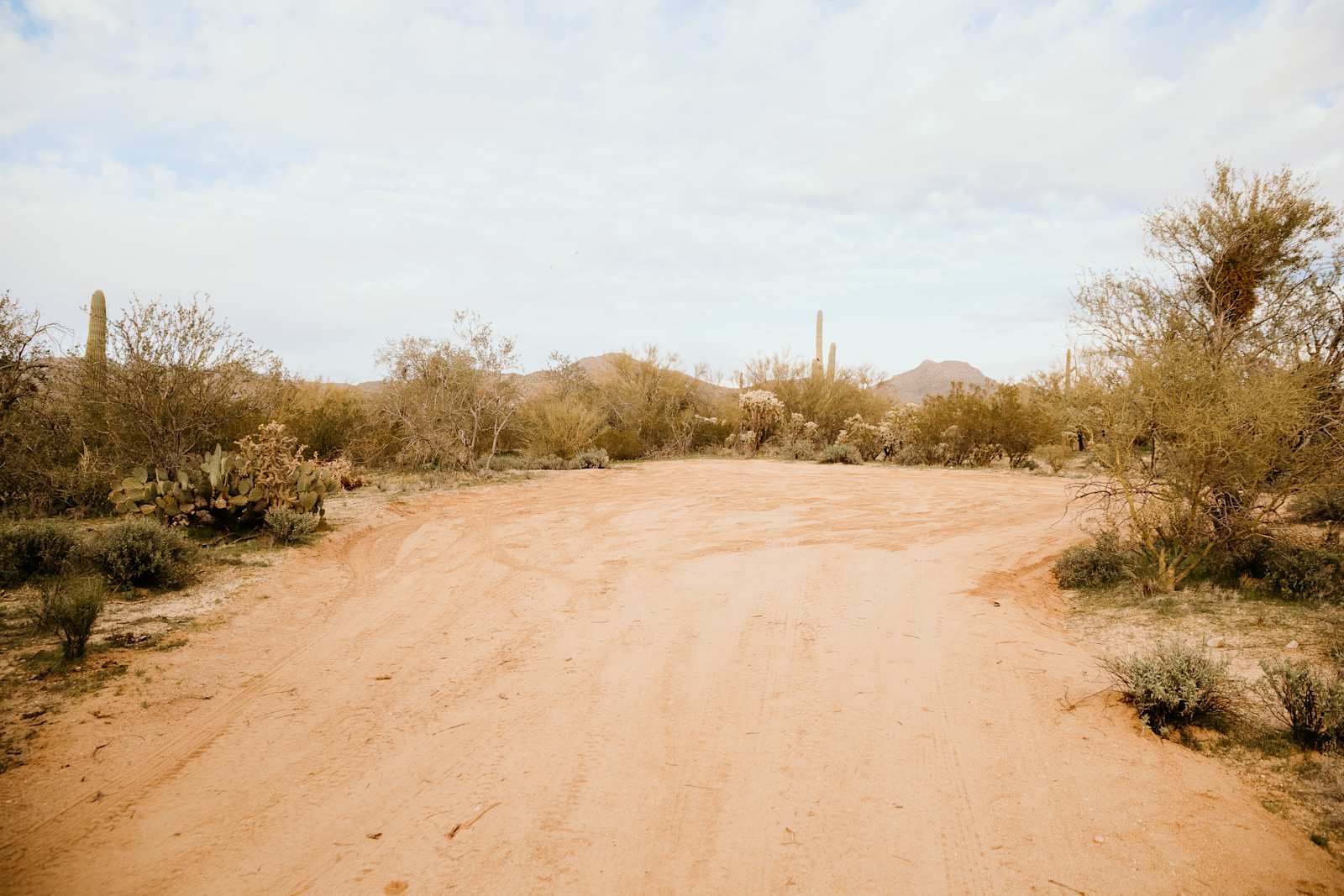 Wild Burro Desert Retreat - Marana, Arizona - glamping.directory