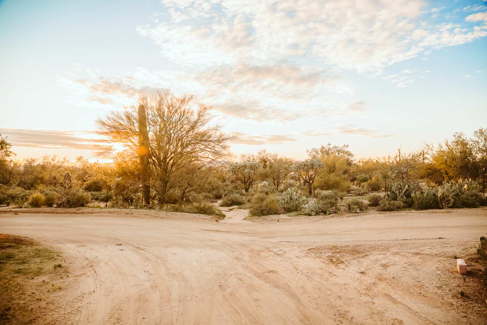 Wild Burro Desert Retreat - Marana, Arizona - glamping.directory