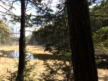 Mountain Cabin Rental in the Heart of Nature near Schroon Lake, New York - Schroon Lake, New York - glamping.directory