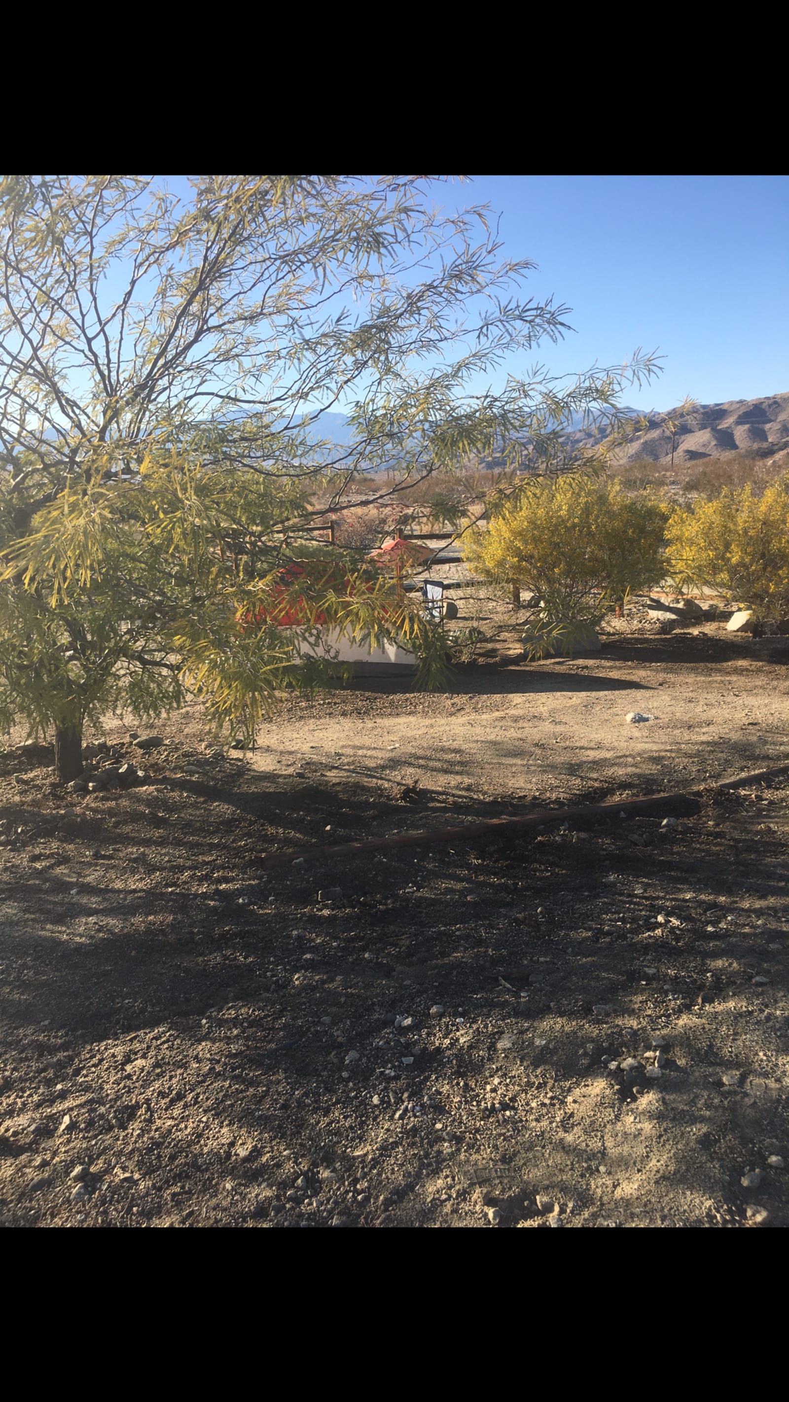 Relaxing Hide Away - Desert Edge, California - glamping.directory