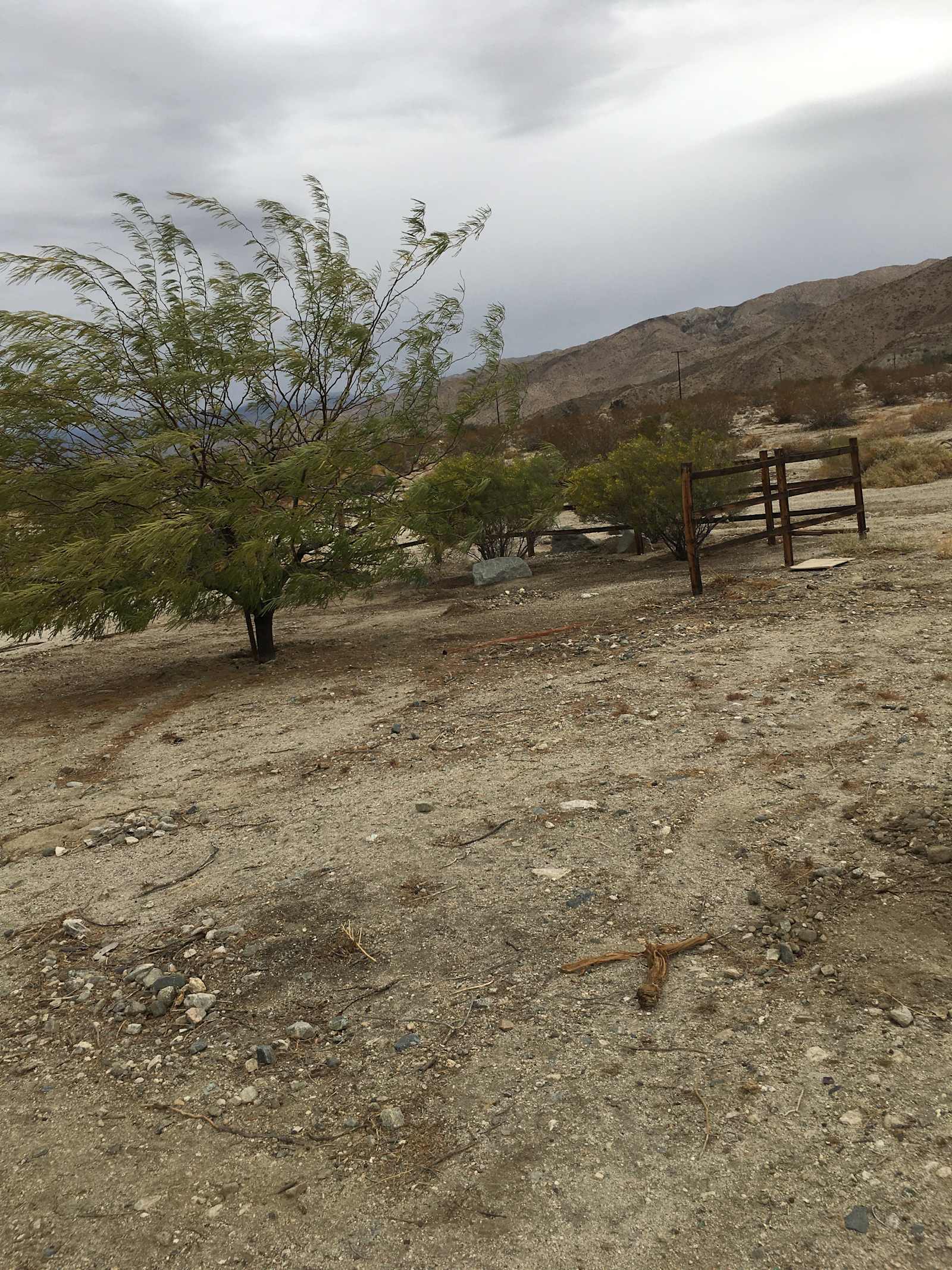 Relaxing Hide Away - Desert Edge, California - glamping.directory