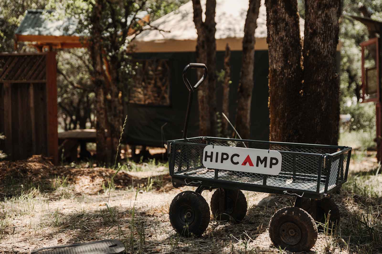 Oracle Oak - Nevada City, California - glamping.directory