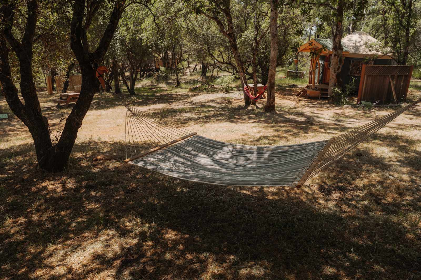 Oracle Oak - Nevada City, California - glamping.directory