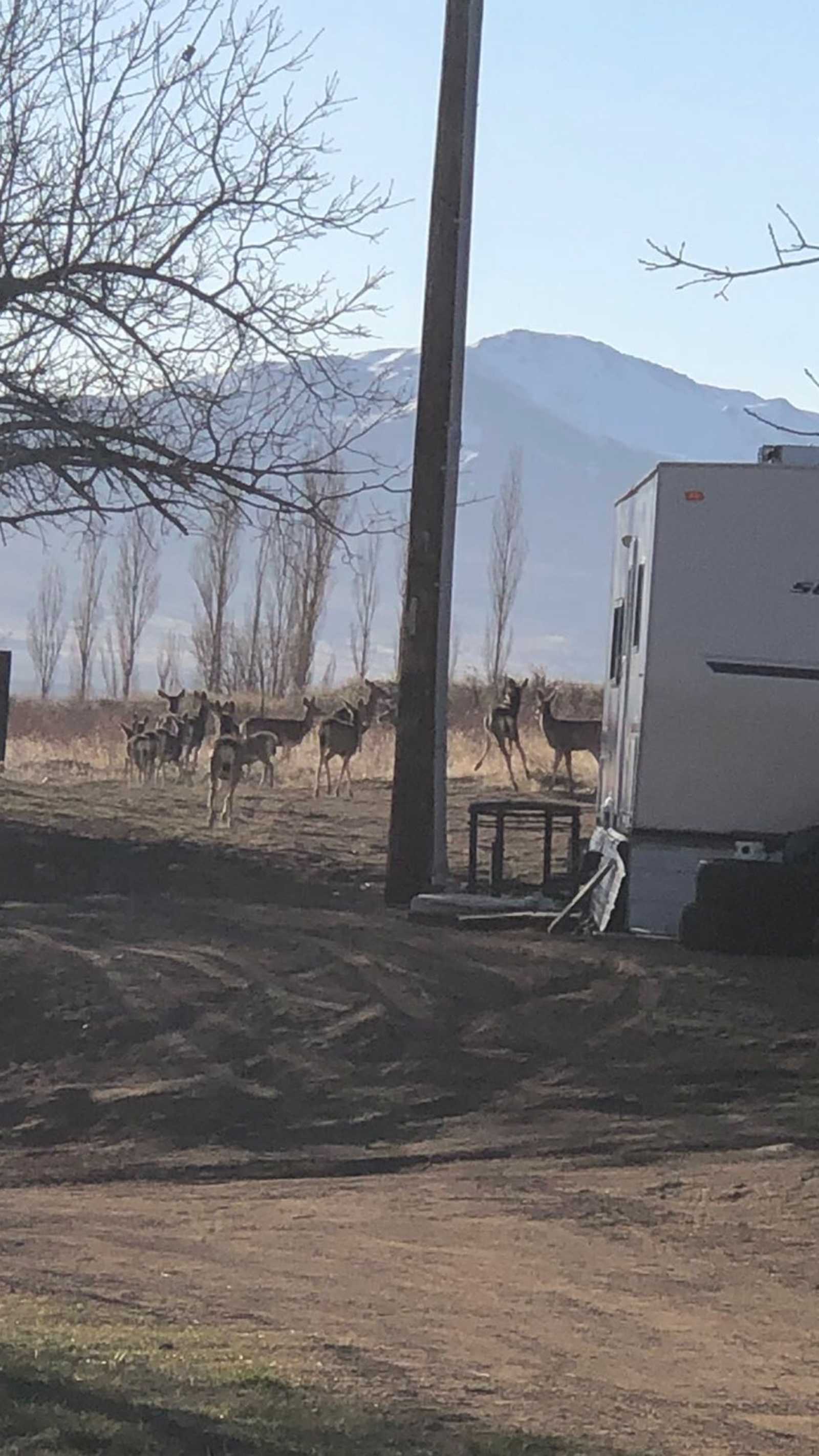 The 395 Ranch, Seclusion & Views! - Doyle, California - glamping.directory