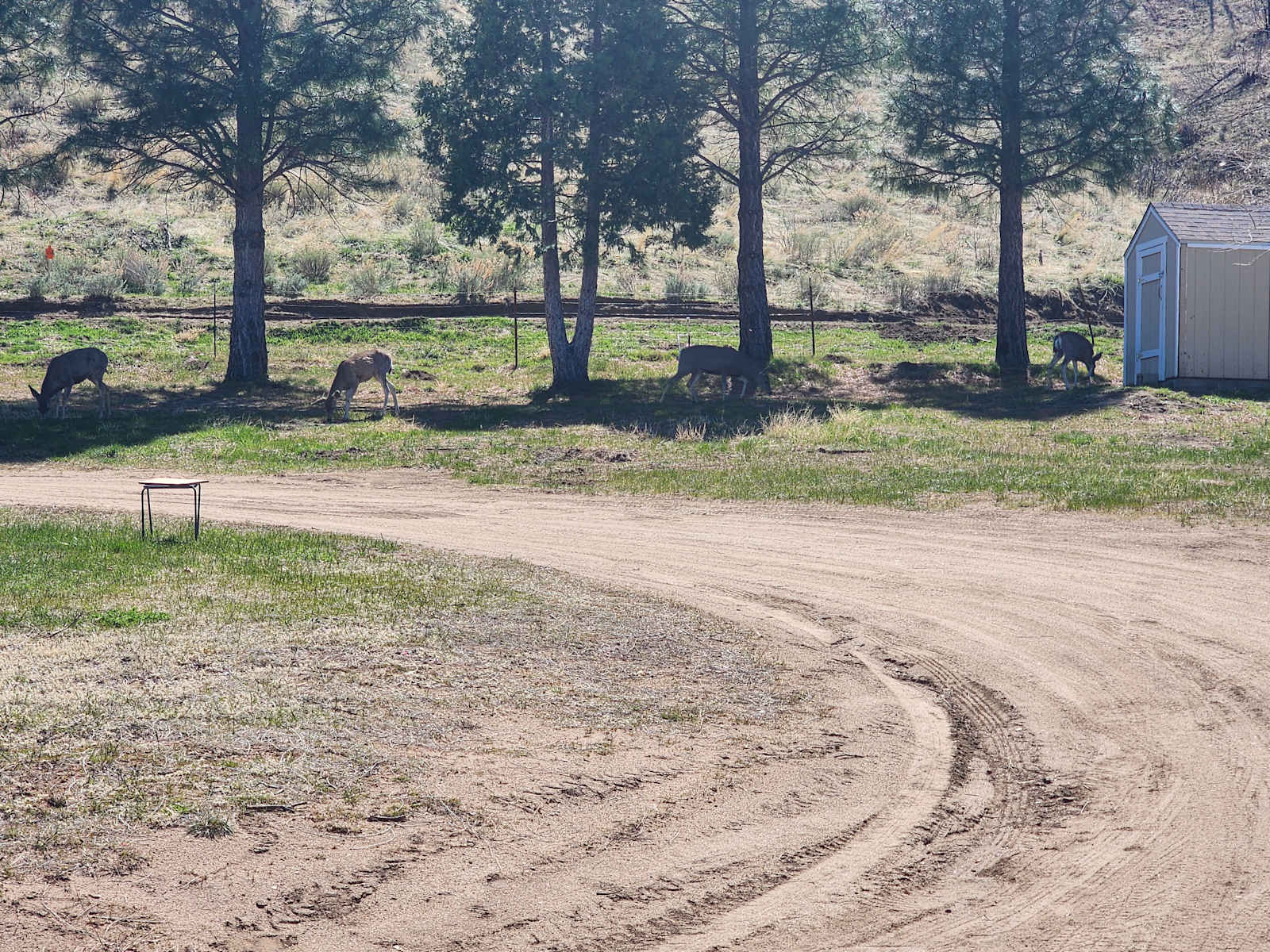 The 395 Ranch, Seclusion & Views! - Doyle, California - glamping.directory