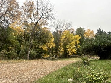 Spacious Cabin with Fire Pit, Perfect for a Family Getaway to Custer State Park - glamping.directory