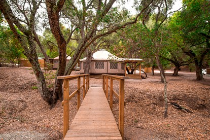 Elegant Yurt Tucked Beneath Oak Trees on Southern California Ranch - Cayucos, California - glamping.directory