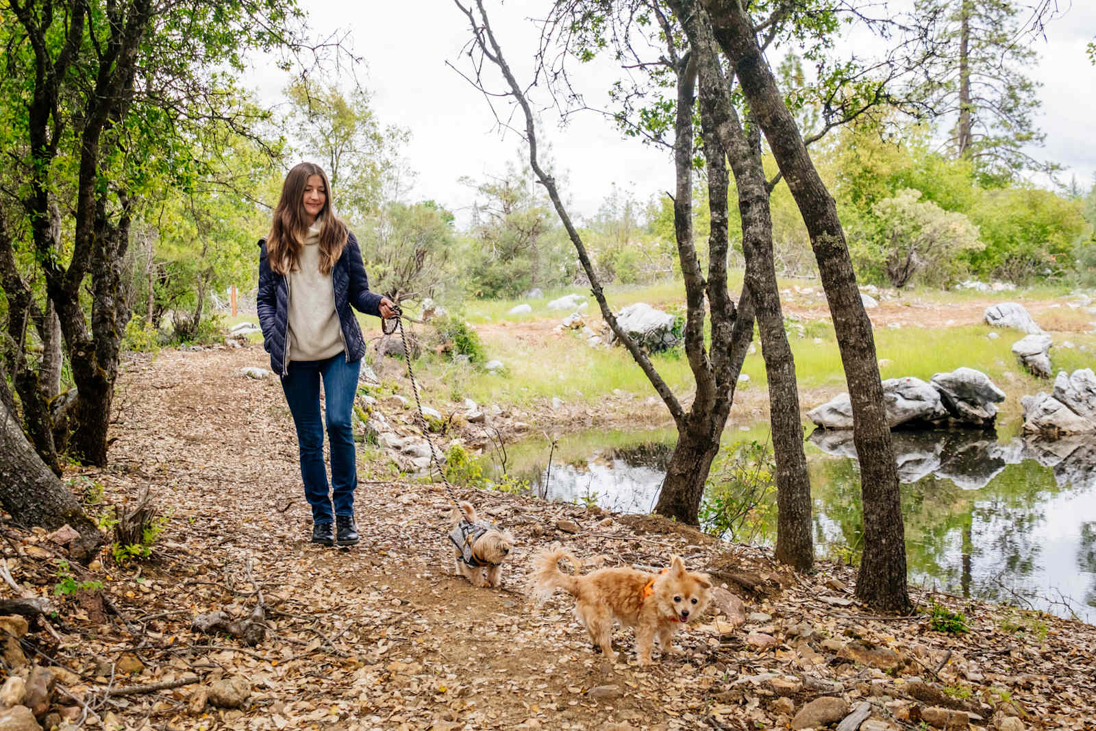 Squirrel Rock RV Campground - Columbia, California - glamping.directory