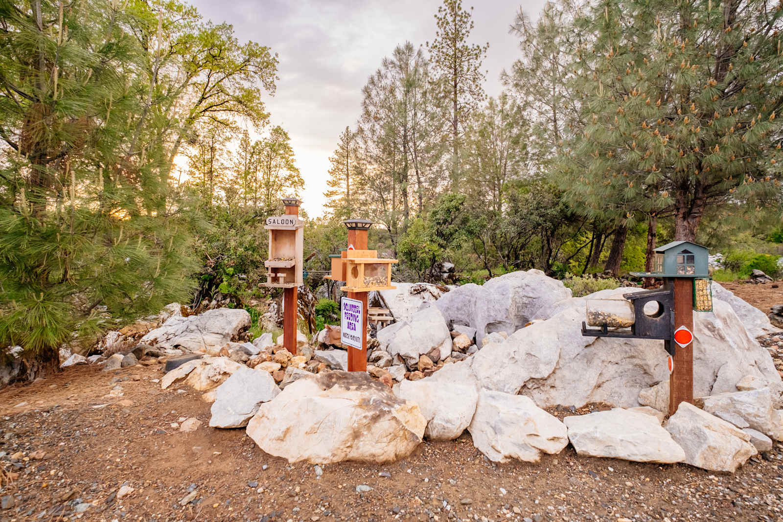 Squirrel Rock RV Campground - Columbia, California - glamping.directory