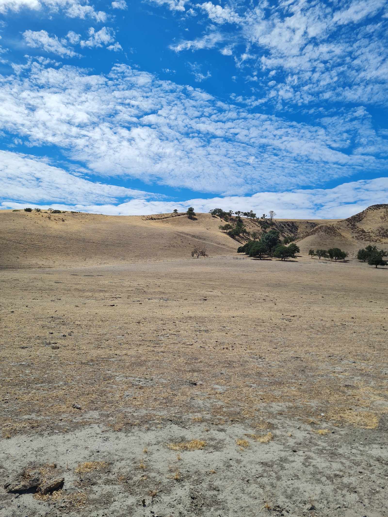 BIG VALLEY OPEN SKY - Central Coast - glamping.directory