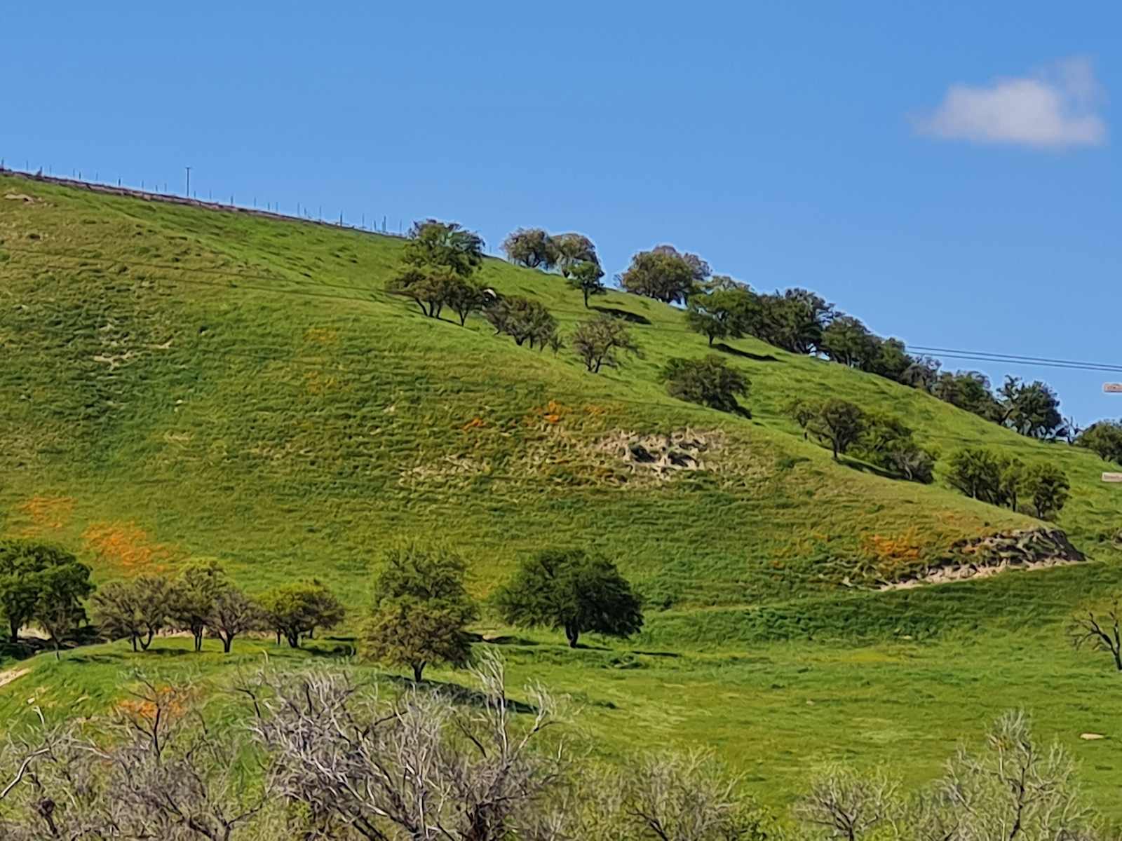 BIG VALLEY OPEN SKY - Central Coast - San Miguel, California - glamping.directory