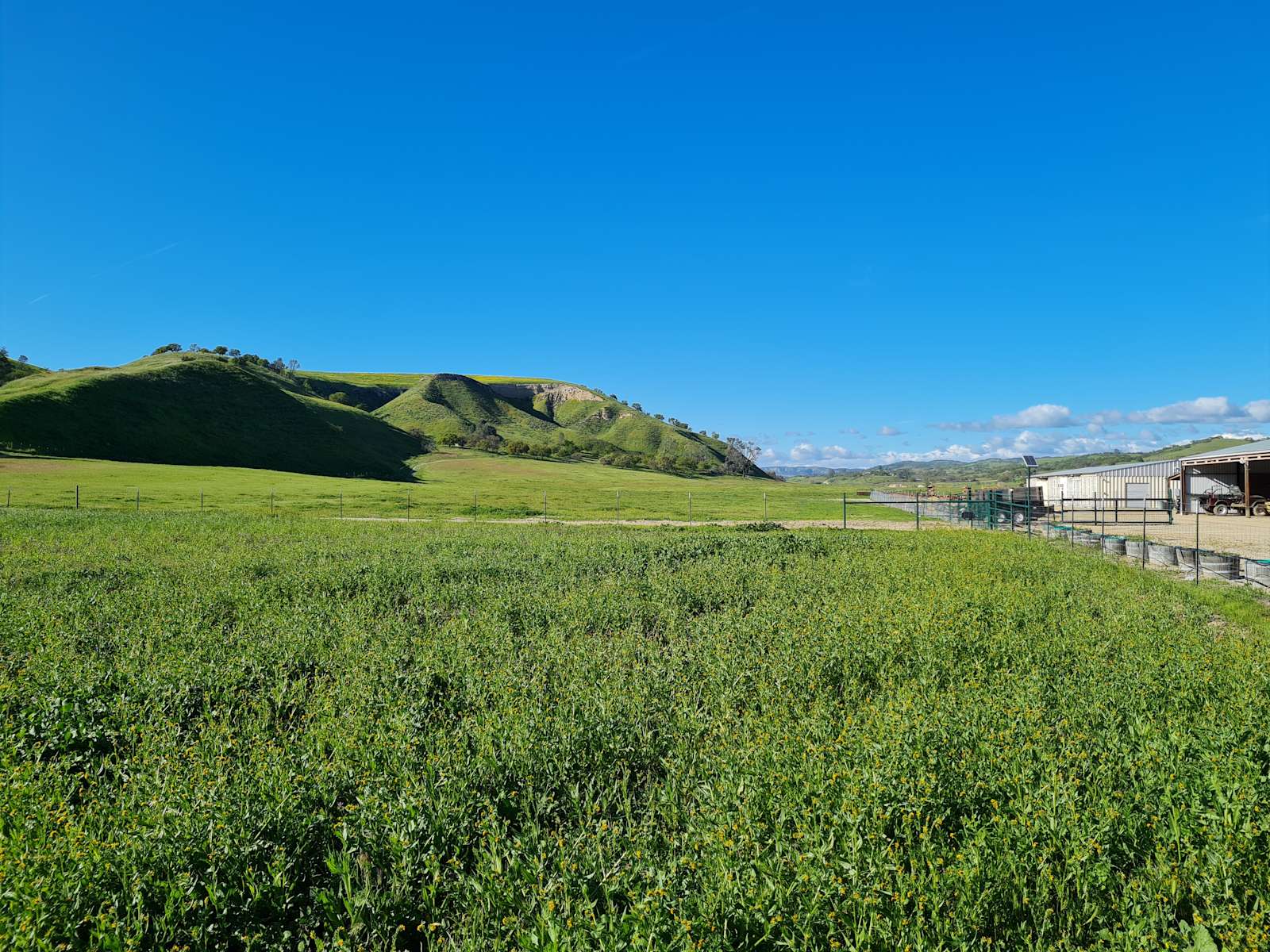 BIG VALLEY OPEN SKY - Central Coast - San Miguel, California - glamping.directory
