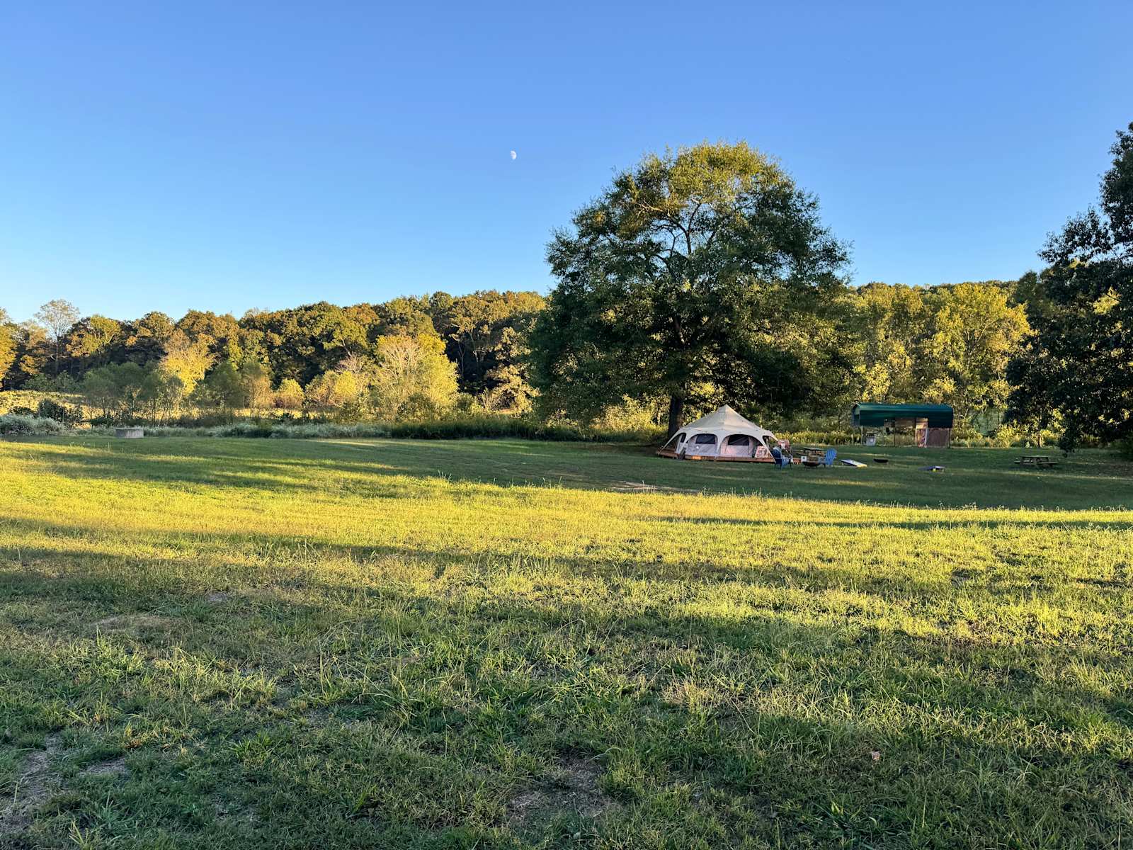 Untamed Acres - Attalla, Alabama - glamping.directory