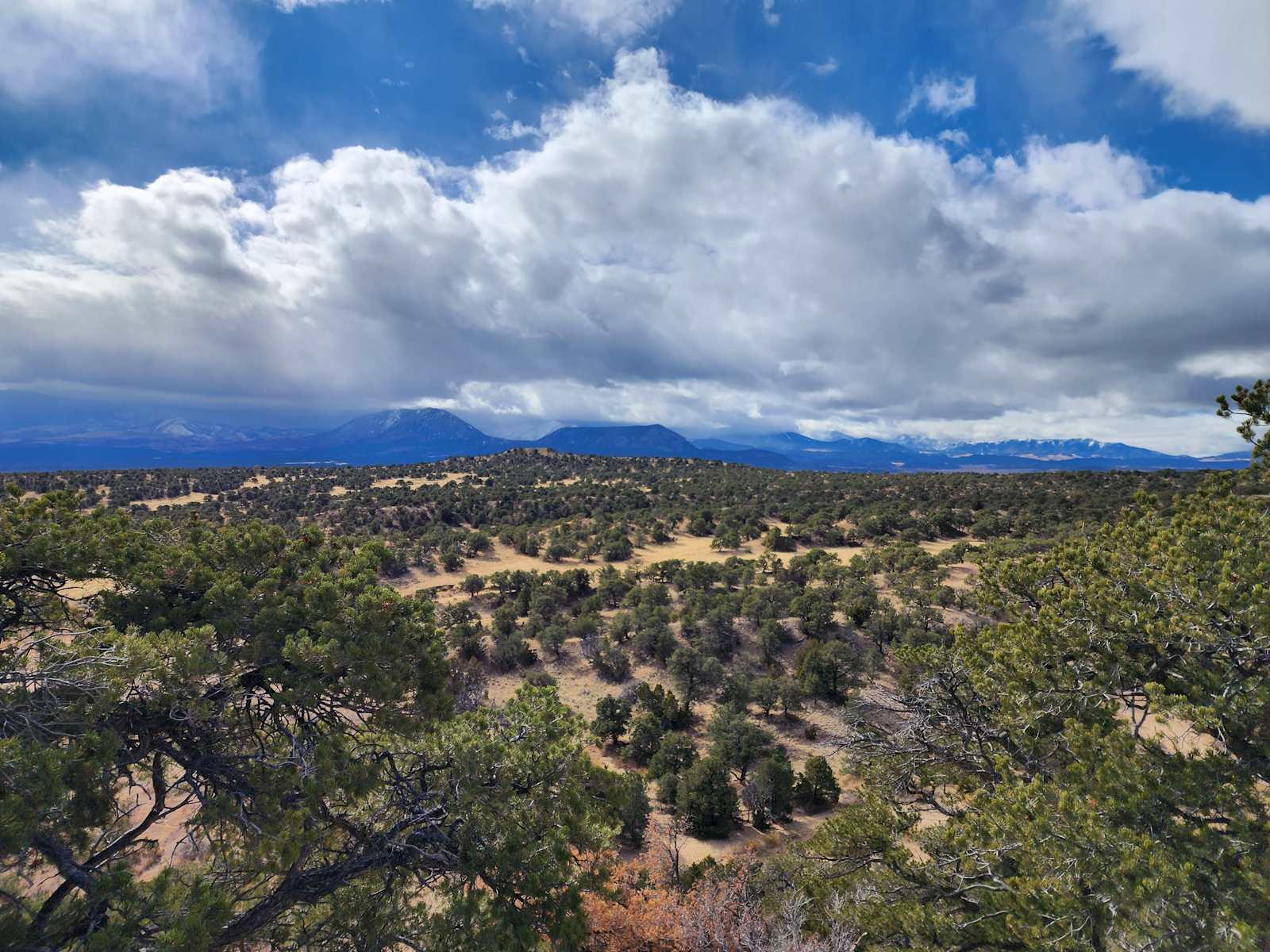 JB Recreational Ranch - Rye, Colorado - glamping.directory