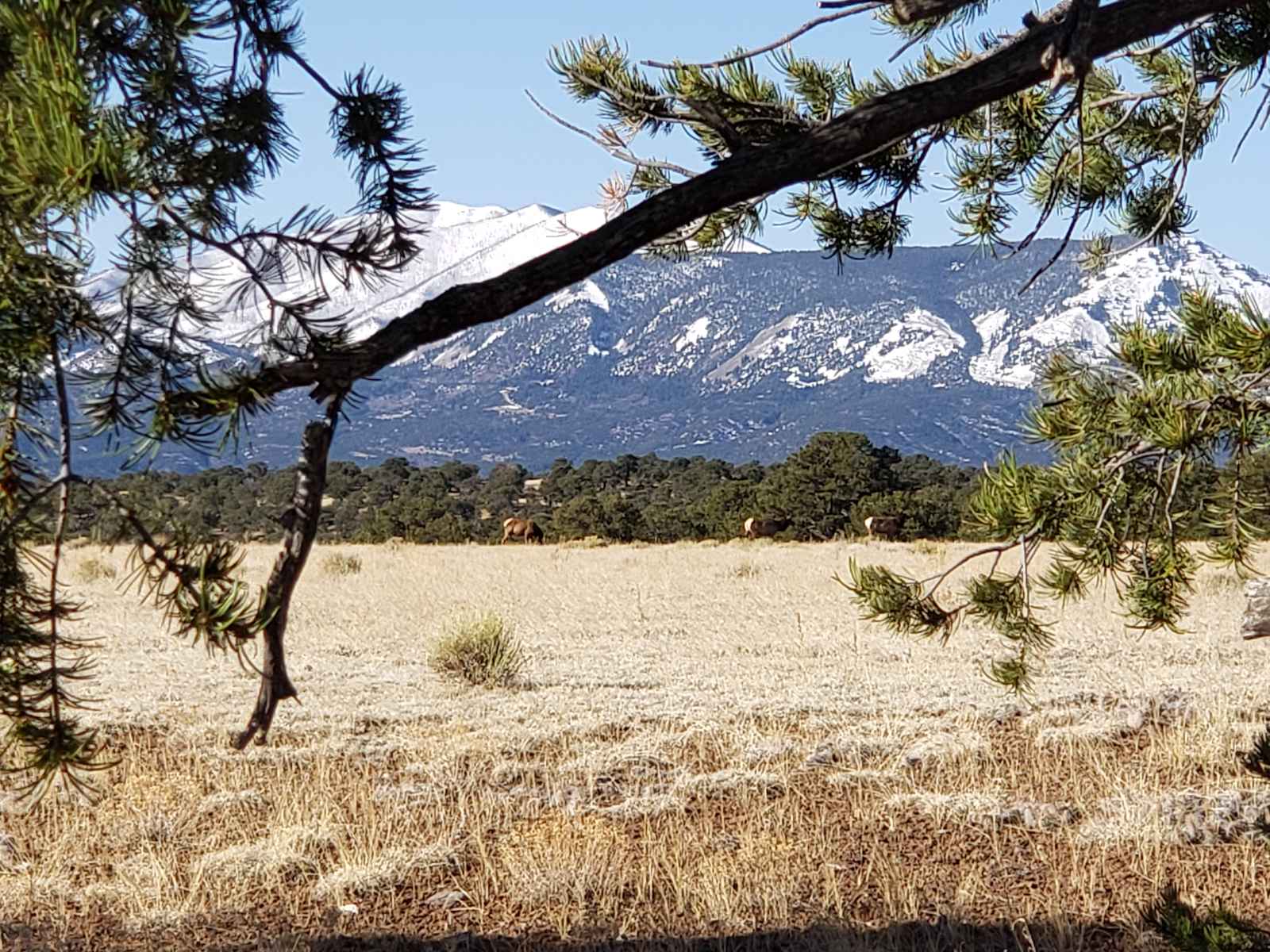 JB Recreational Ranch - Rye, Colorado - glamping.directory