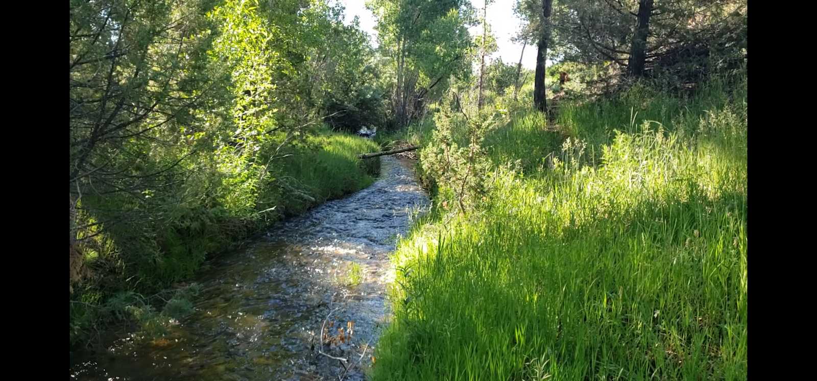 JB Recreational Ranch - Rye, Colorado - glamping.directory
