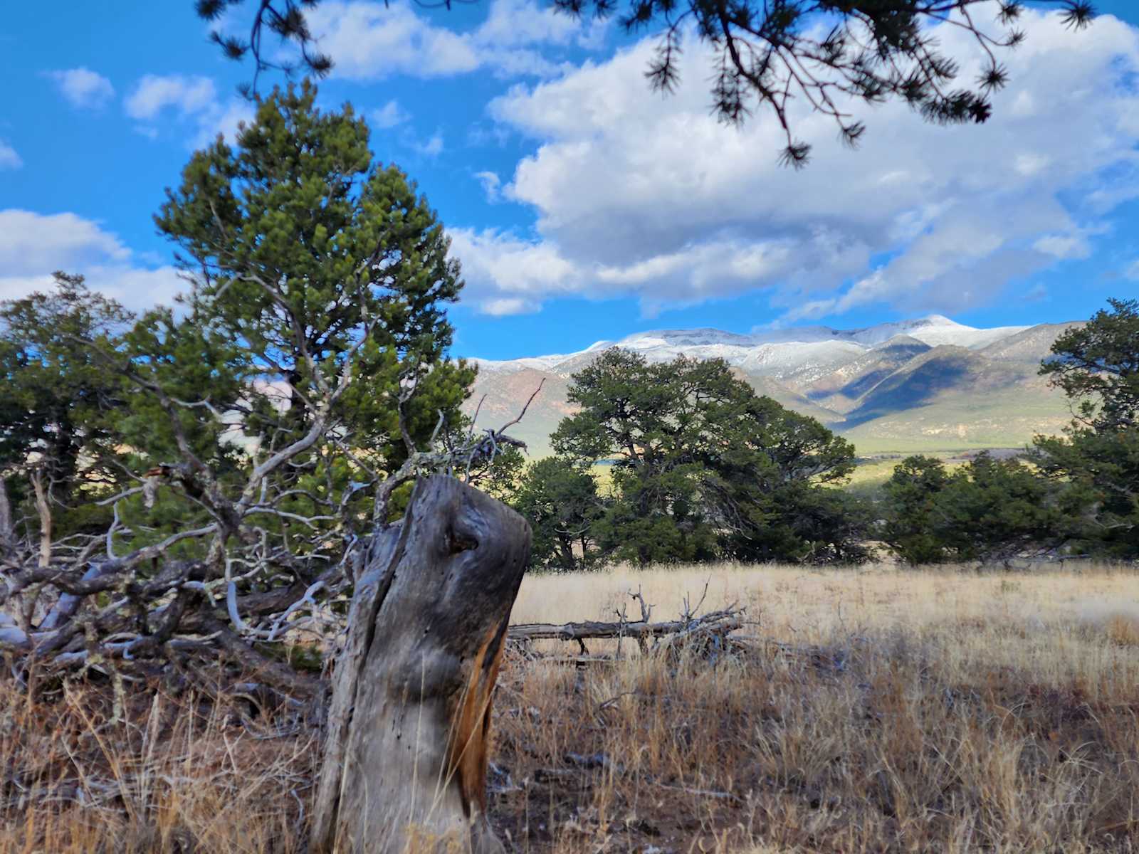 JB Recreational Ranch - Rye, Colorado - glamping.directory