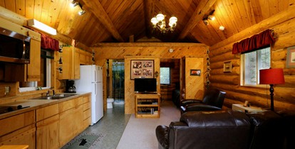 Warm and Cozy Cabin Rental for a Wilderness Escape in Anchor Point, Alaska - Anchor Point, Alaska - glamping.directory