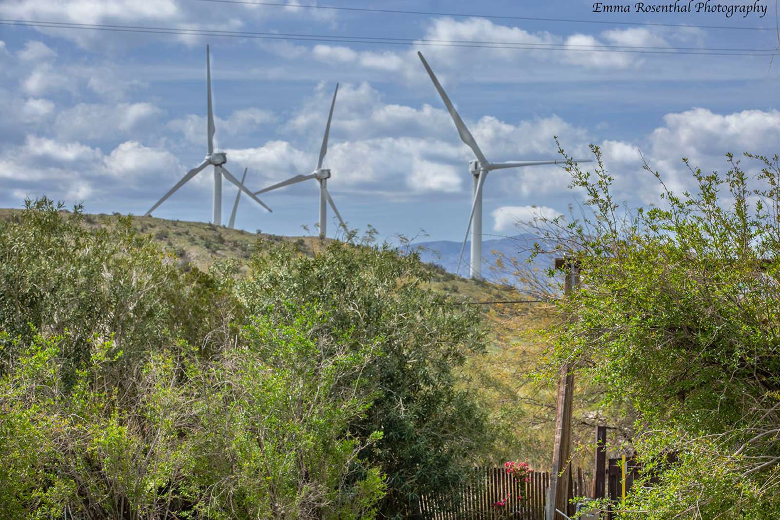 DragonflyHill Desert Farm - Desert Hot Springs, California - glamping.directory