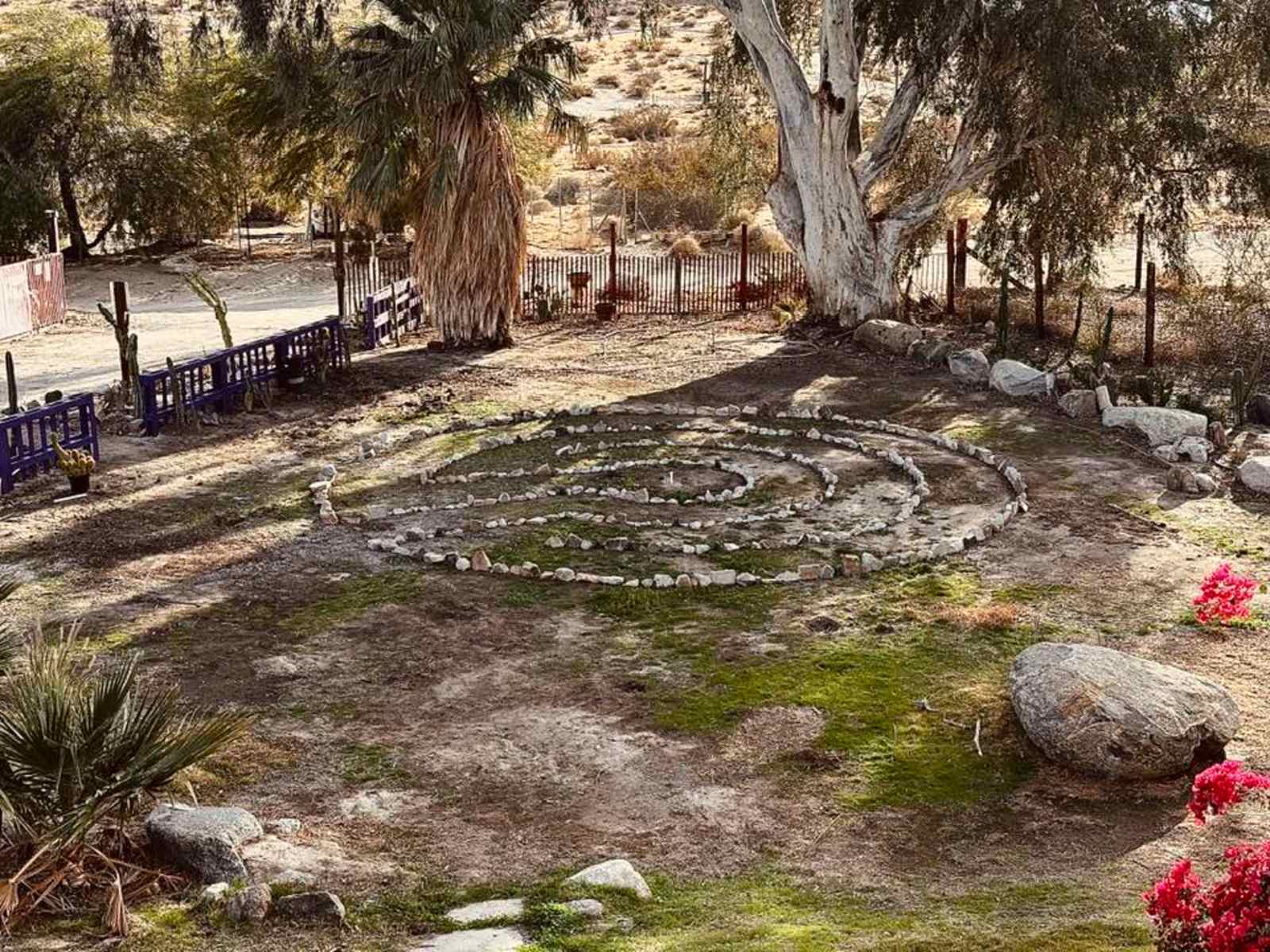 DragonflyHill Desert Farm - Desert Hot Springs, California - glamping.directory