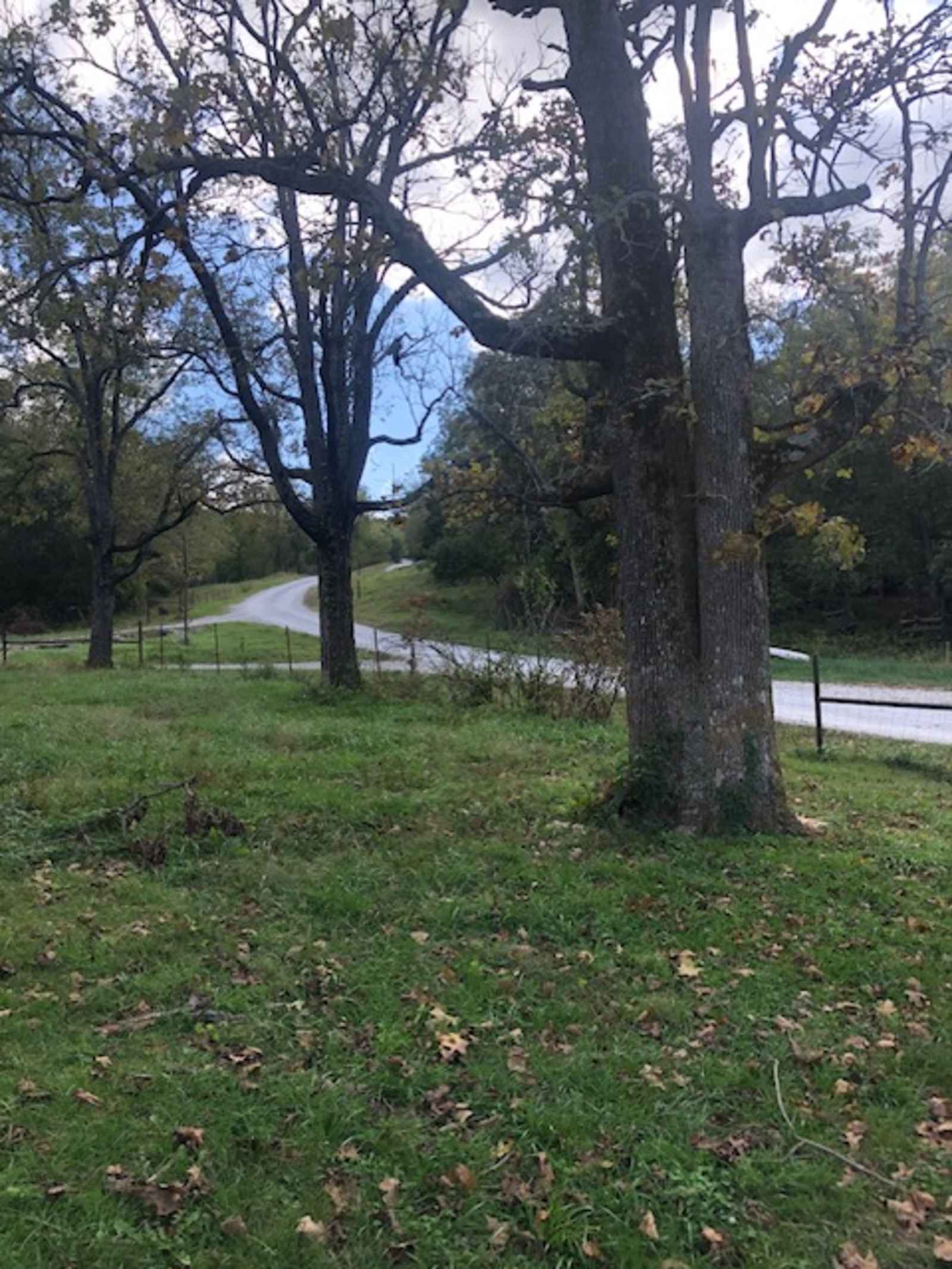 Norton Cattle Company - Harrison, Arkansas - glamping.directory