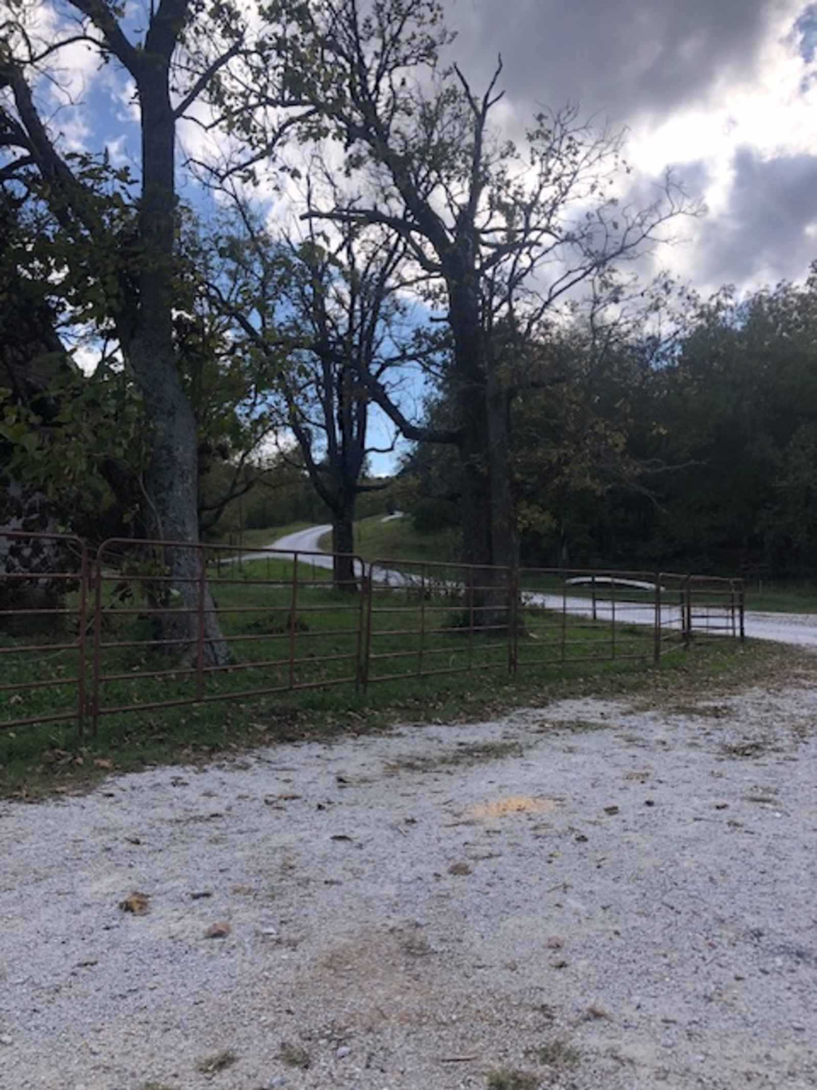 Norton Cattle Company - Harrison, Arkansas - glamping.directory