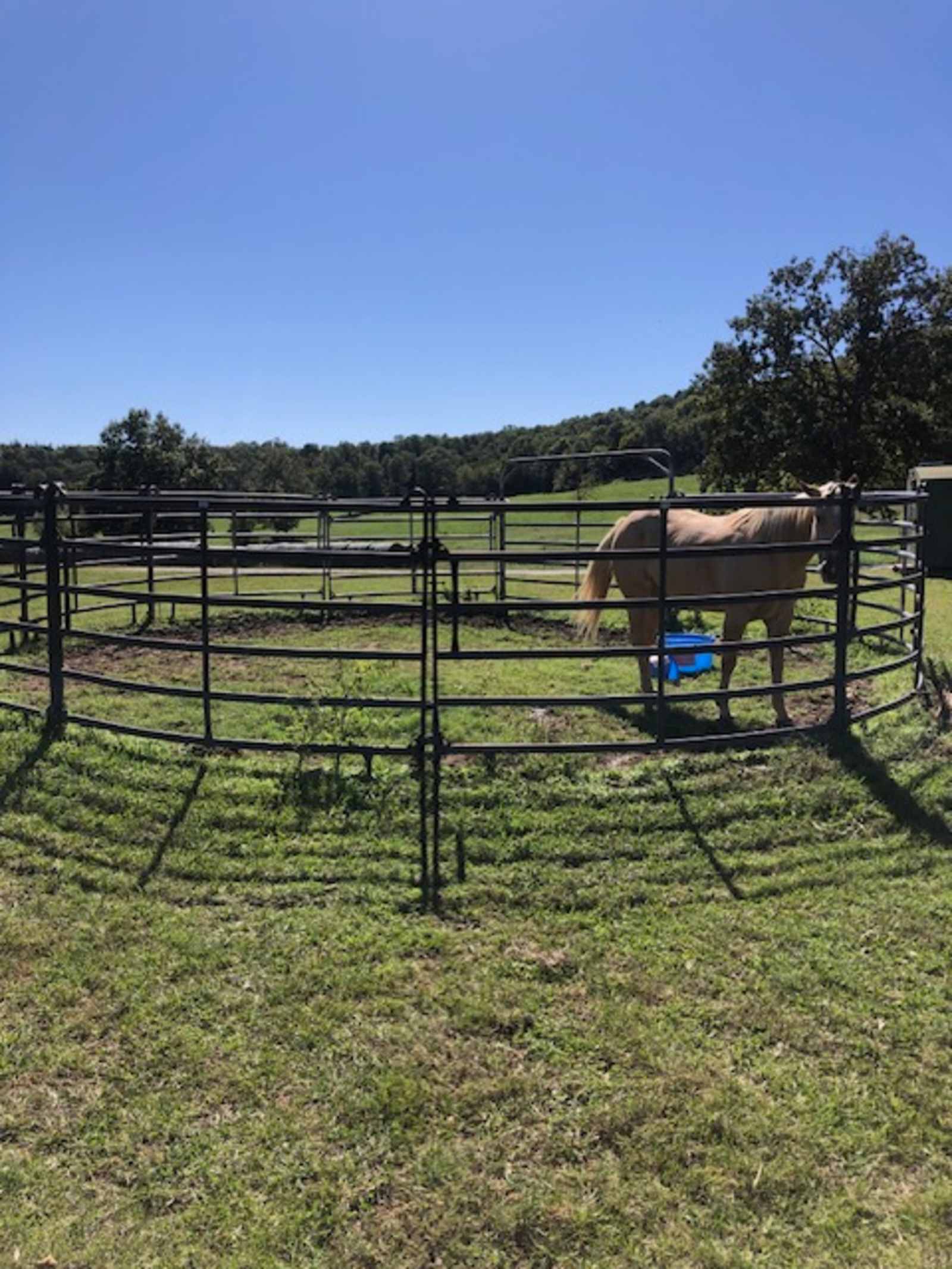Norton Cattle Company - Harrison, Arkansas - glamping.directory