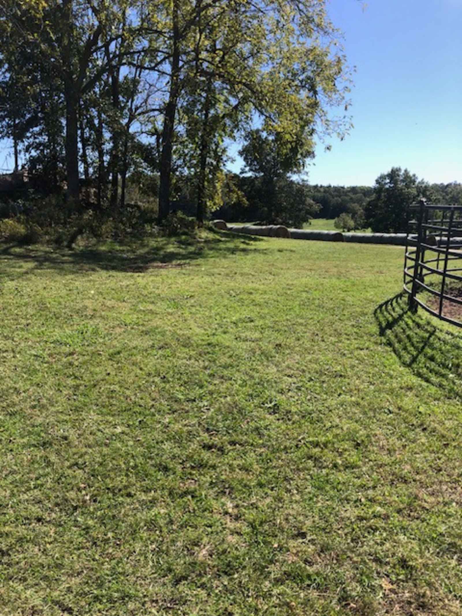 Norton Cattle Company - glamping.directory
