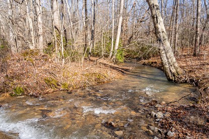 Beautiful Cabin with Spectacular Views for an Unforgettable Getaway in Nature near Rising Fawn, Georgia - Rising Fawn, Georgia - glamping.directory