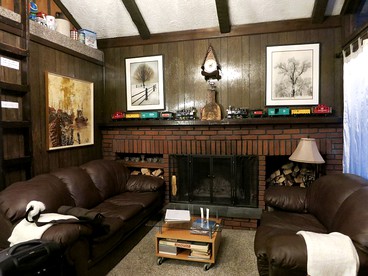 Cozy Rustic Cabin near Albany in Upstate New York - Hunter, New York - glamping.directory