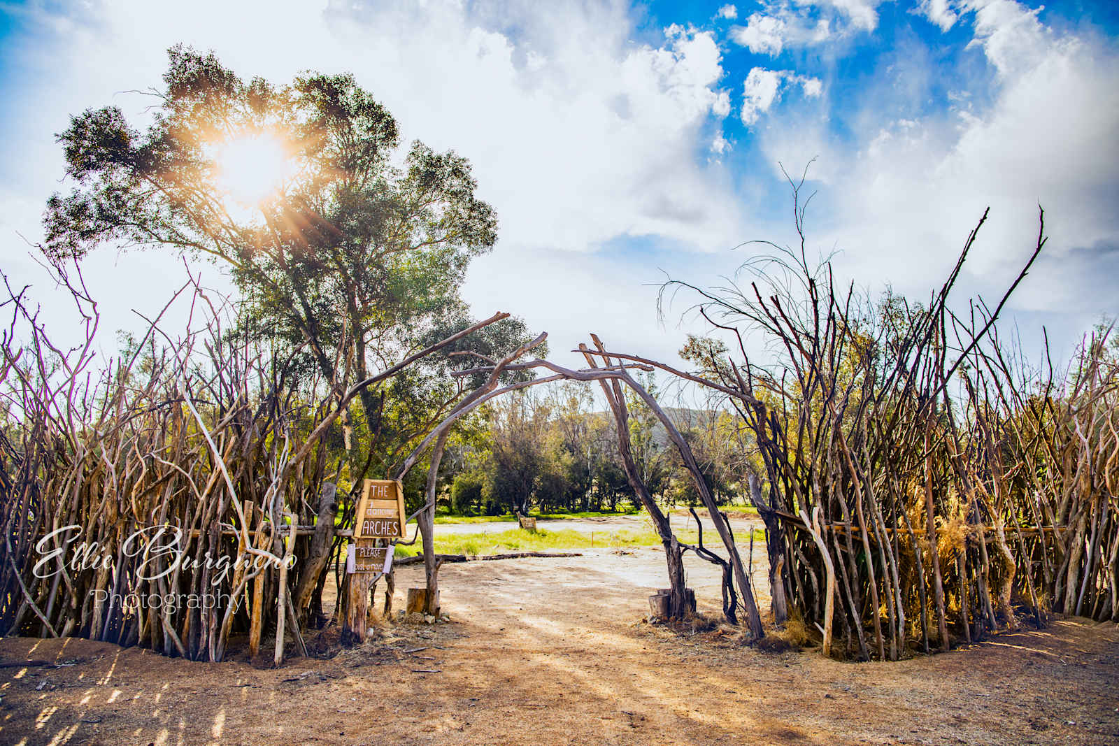 Rock & Tree - glamping.directory