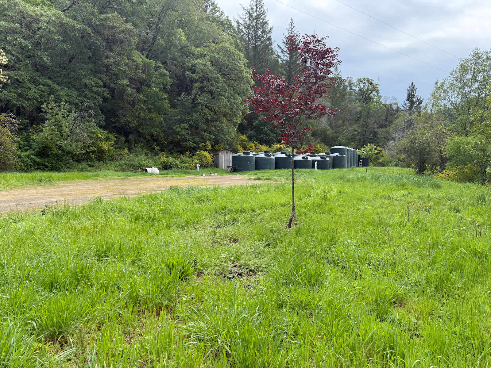 Dean Creek Retreat - glamping.directory