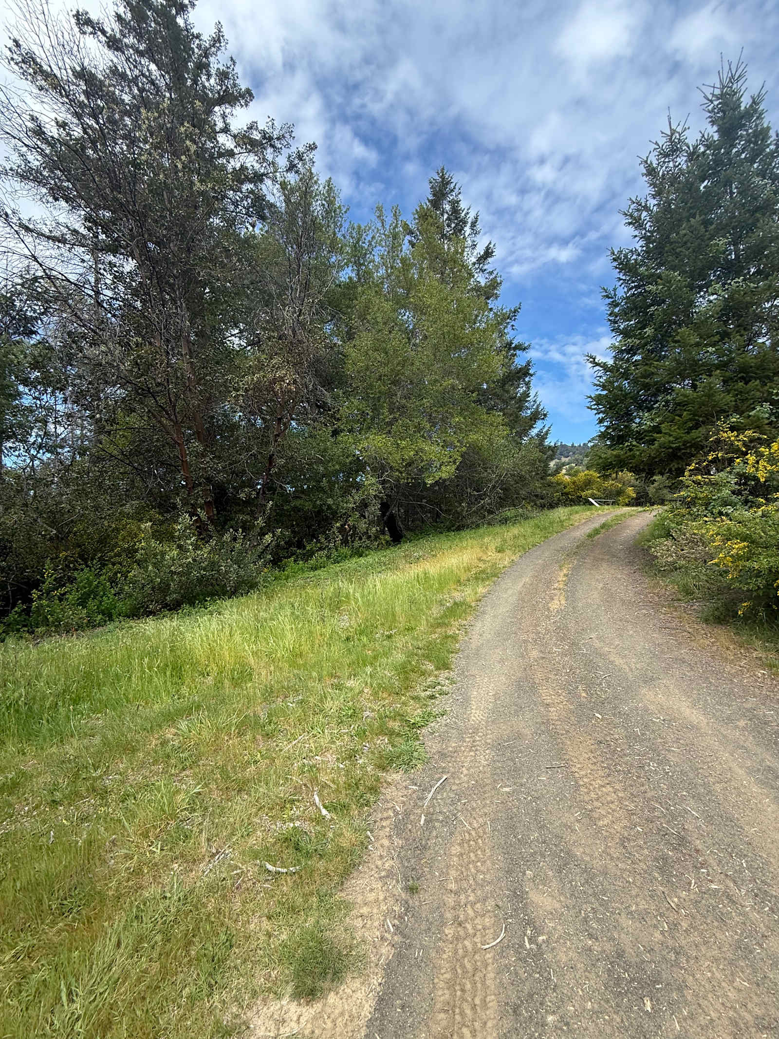 Dean Creek Retreat - Garberville, California - glamping.directory