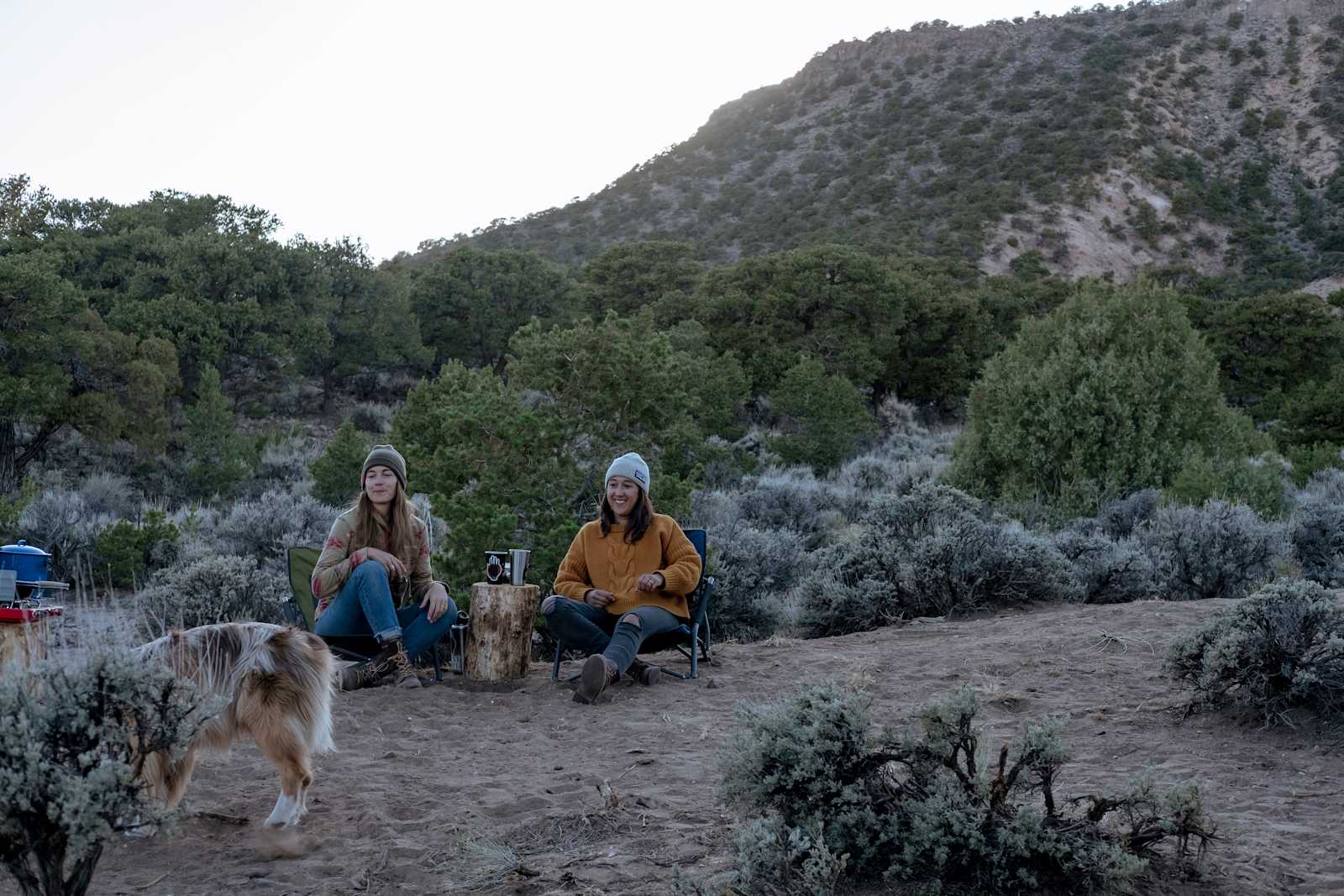Campe Diem! - Colorado - glamping.directory