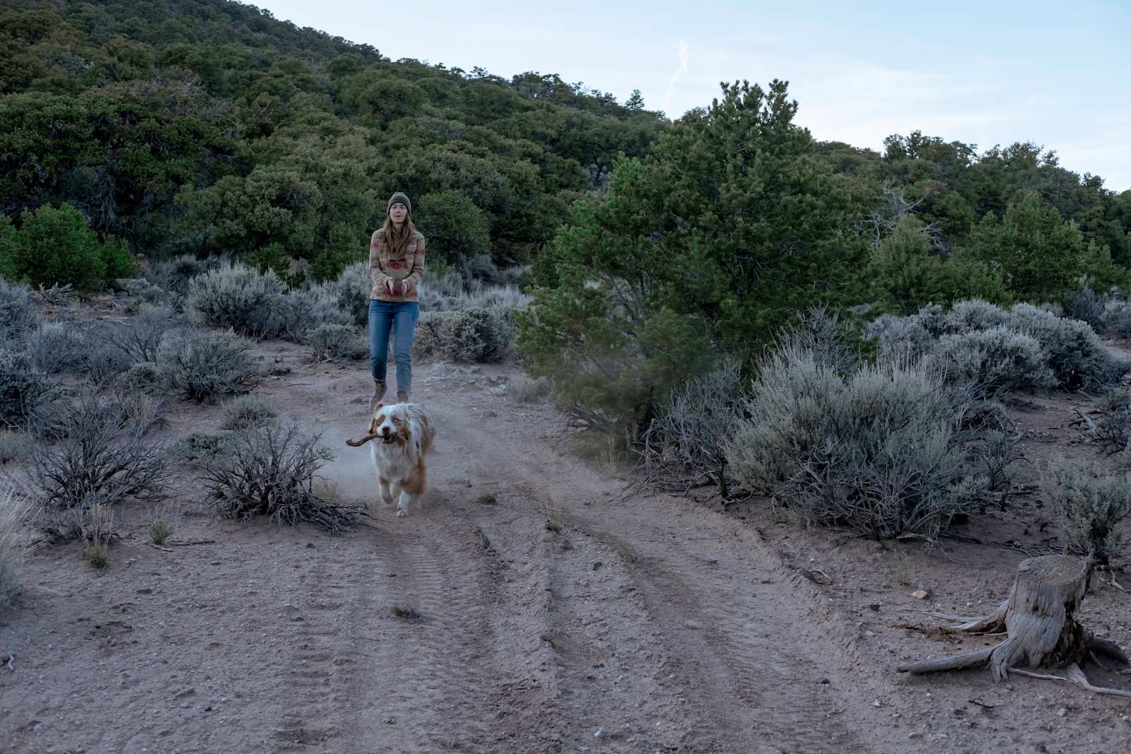 Campe Diem! - Colorado - glamping.directory
