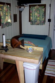 Cozy Tiny House in Tennessee Forest with Loft Beds & Country Breakfast - Lebanon, Tennessee - glamping.directory