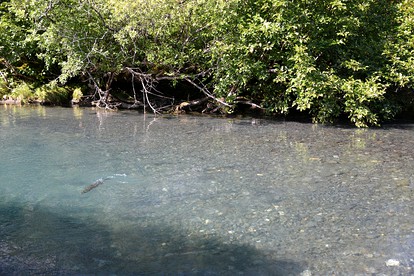 Secluded Waterfront Cottage Rental near Anchorage, Alaska - Anchorage, Alaska - glamping.directory
