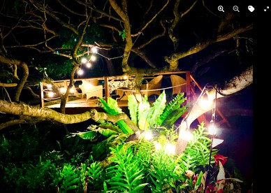 Beachfront Glamping in Kehena, Ideal for a Hawaii Nature Escape - Kehena, Hawaii - glamping.directory