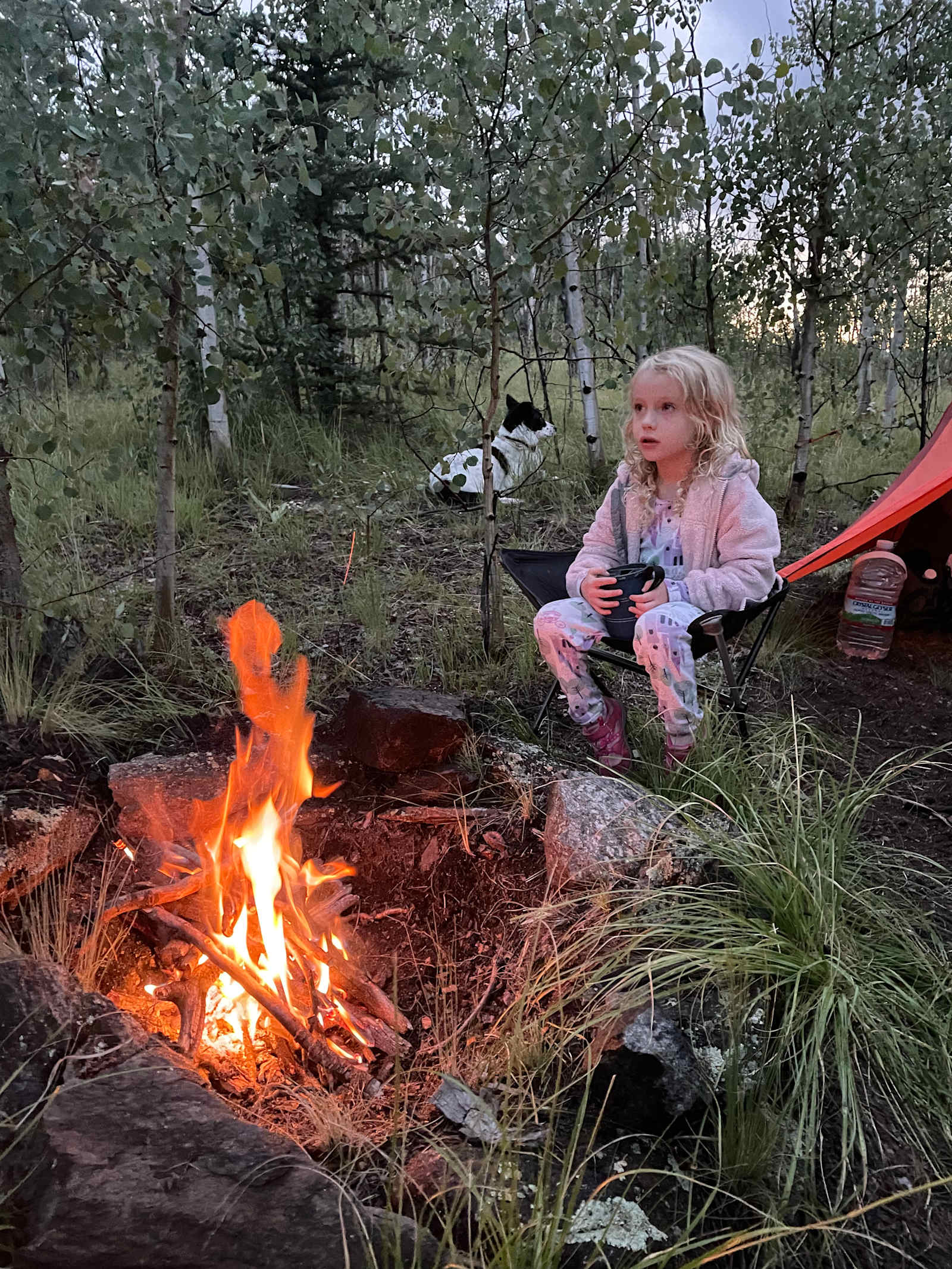 Camp with a view! - Jefferson, Colorado - glamping.directory